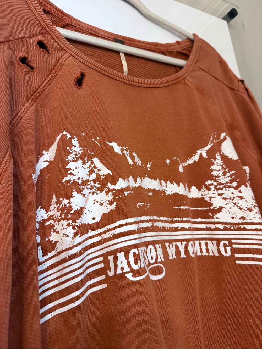 Free Peopke Jackson Wyoming Rust Graphic Long Sleeve sweatshirt - Picture 2 of 6